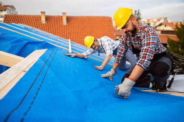 Best Emergency Roof Repair Services  in Diberville, MS