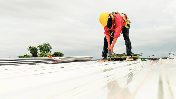 Best 4 Ply Roofing  in Diberville, MS