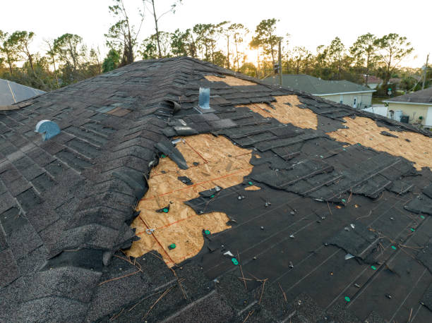 Roof Insulation in Diberville, MS