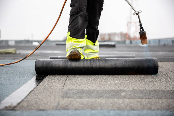 Best Asphalt Shingle Roofing  in Diberville, MS