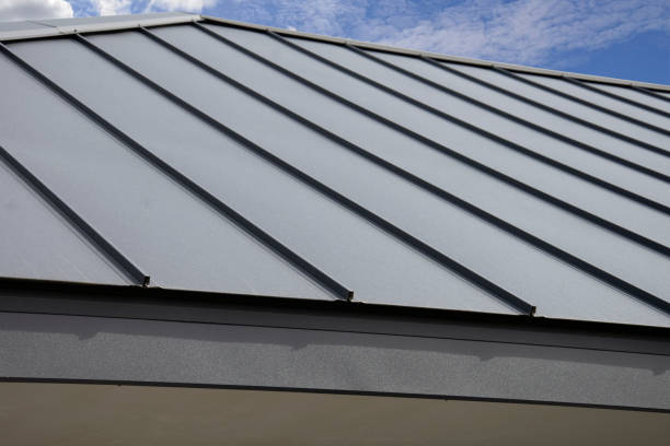 Best Roof Maintenance and Cleaning  in Diberville, MS